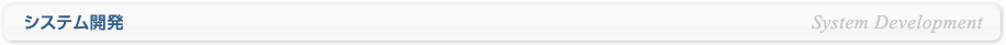 システム開発